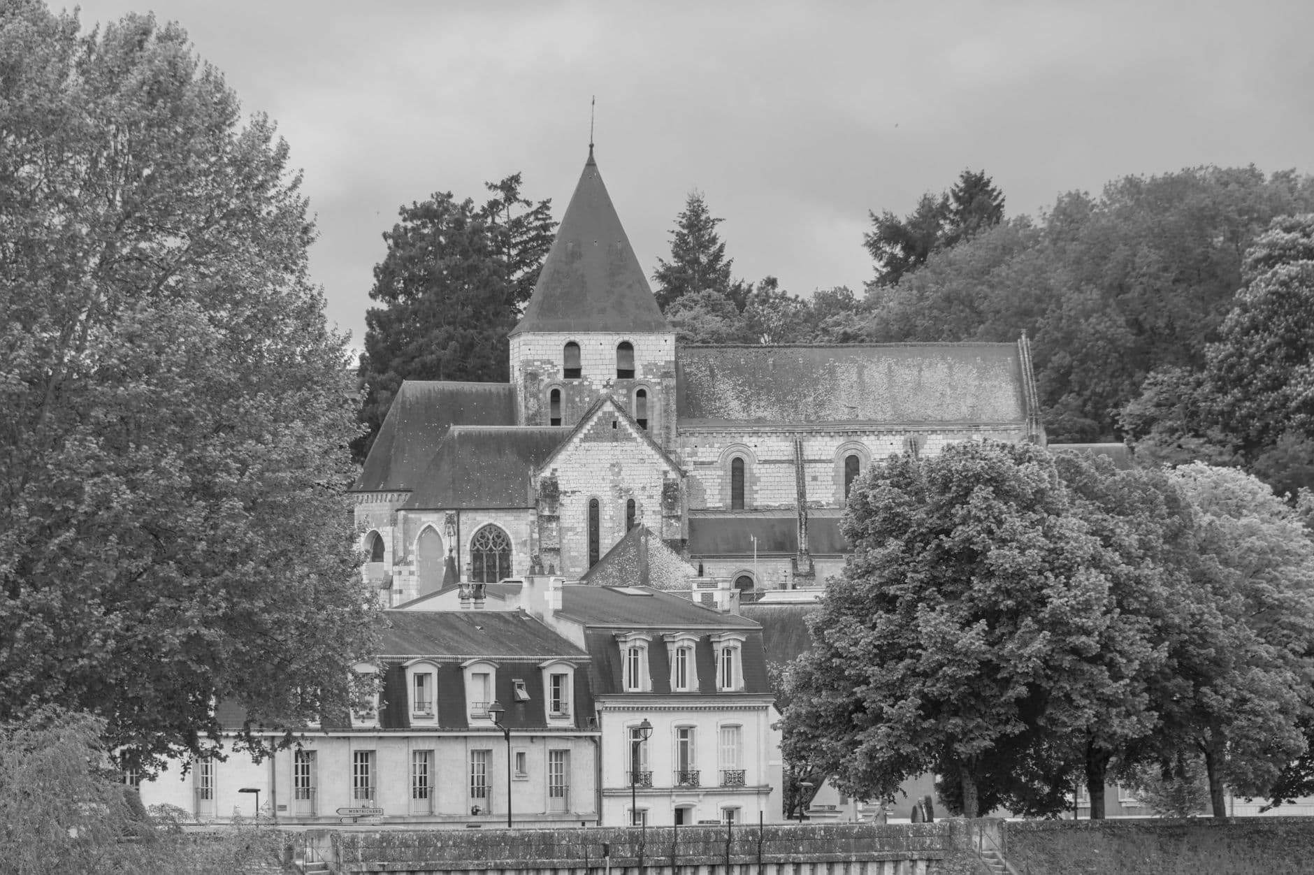 Monochrome view of a historic church nestled among trees in a serene landscape.