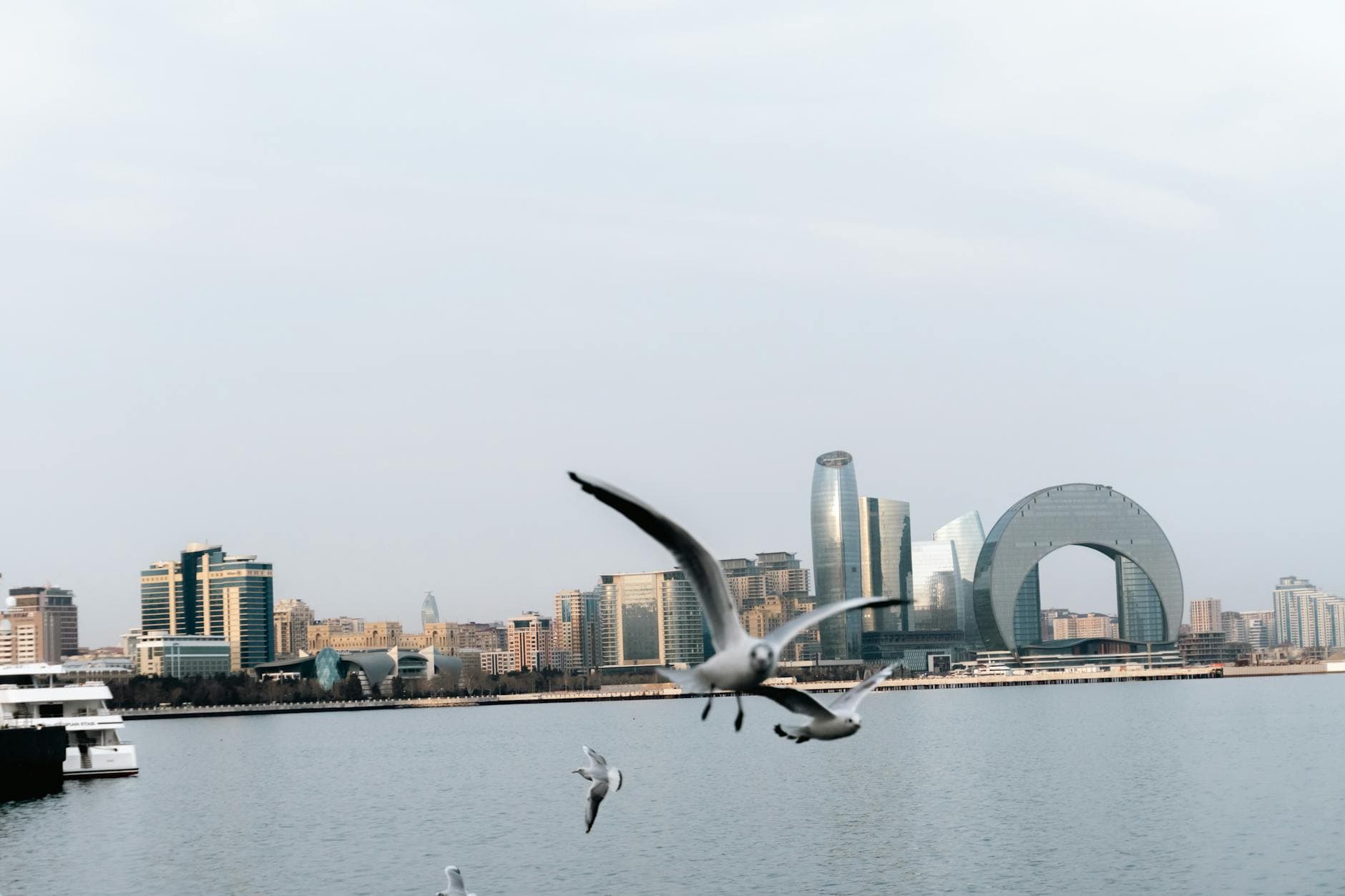 Seagulls hover over Baku's skyline, showcasing modern architecture against serene waters.