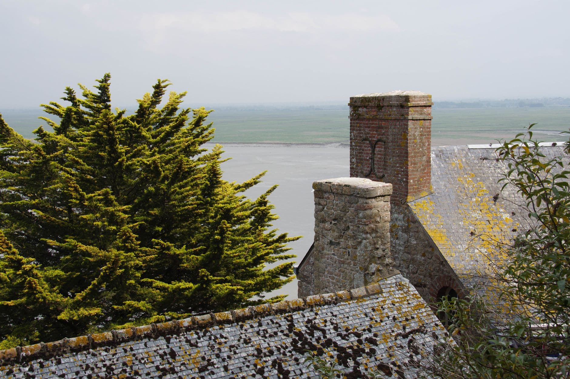 View of Mont Saint-Michel's rooftop and lush surroundings, capturing timeless architecture and coastal beauty.