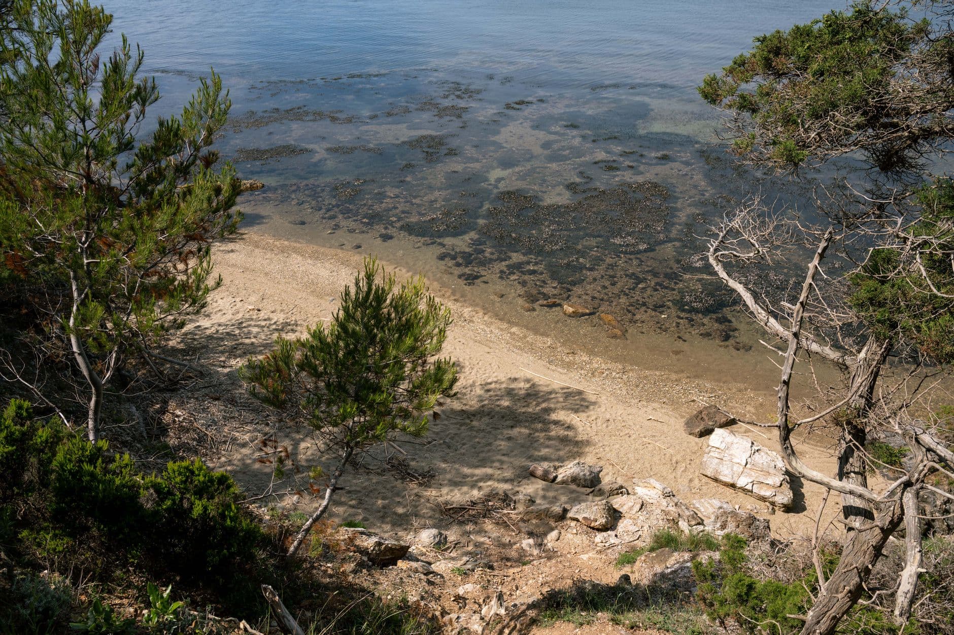 Calm coastal view with clear waters and lush greenery in Hyères, Provence, France