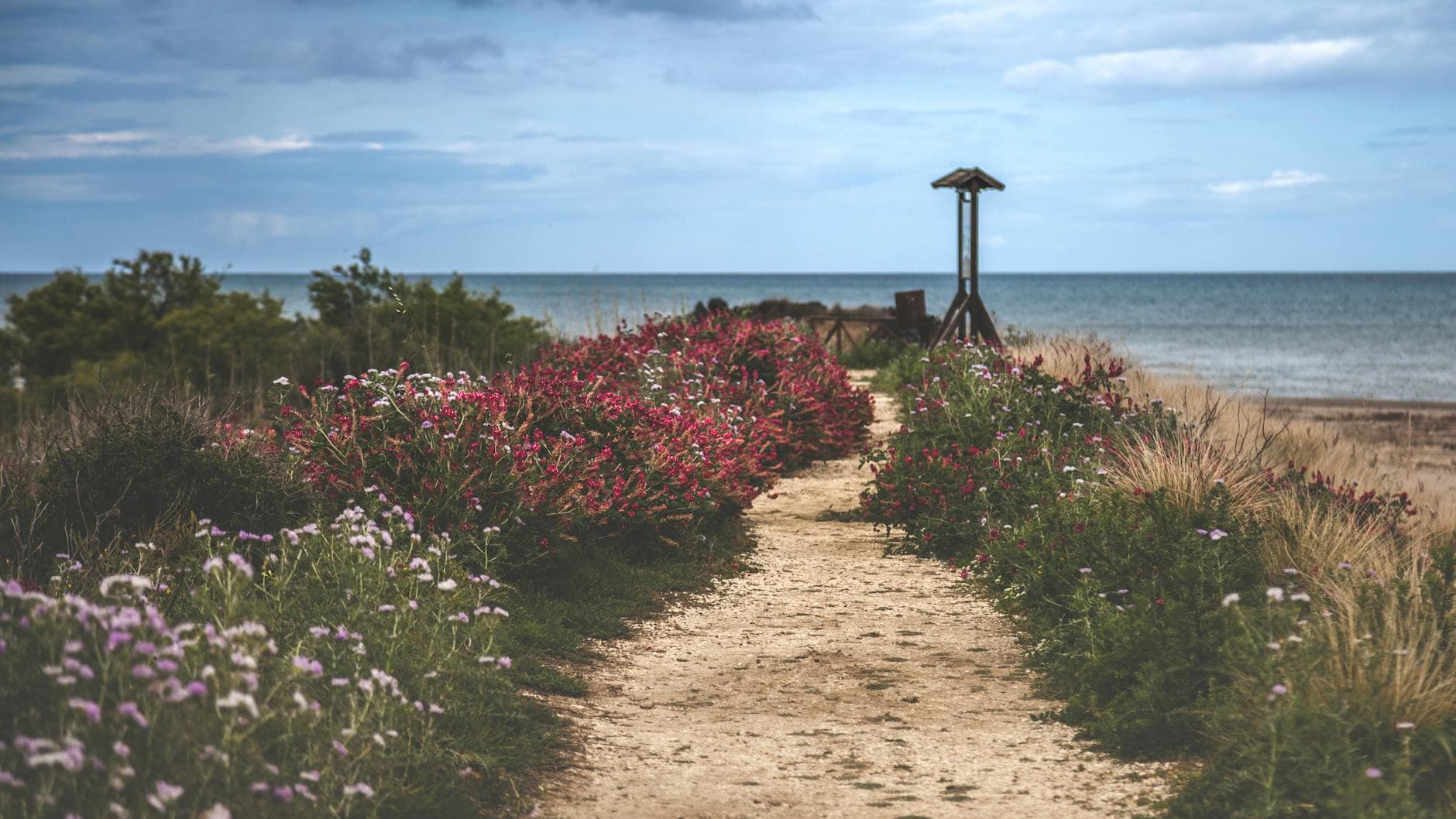 Breathtaking view of a flower-lined coastal pathway leading to the sea in Catania, Sicily, Italy.