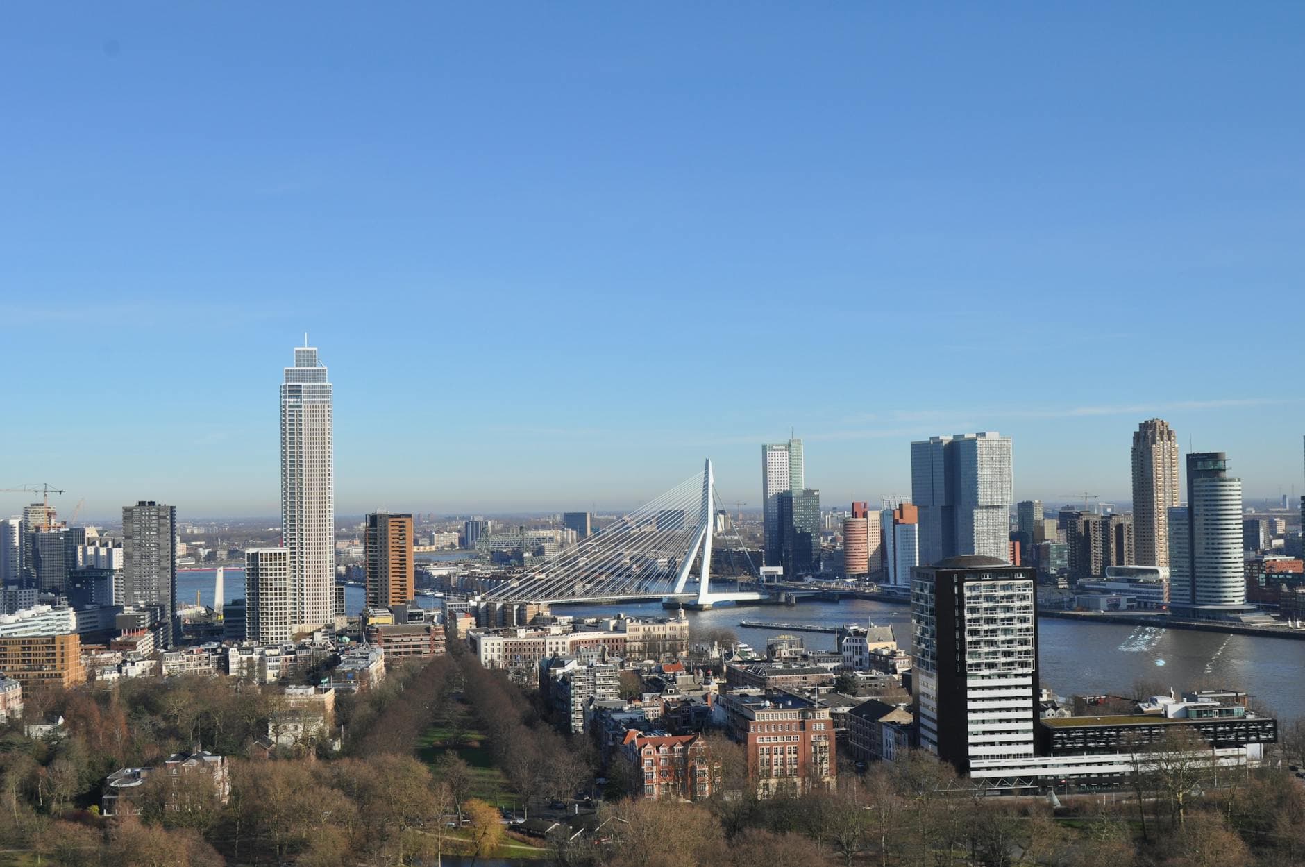 Breathtaking aerial view of Rotterdam cityscape featuring the iconic Erasmus Bridge under a clear blue sky.
