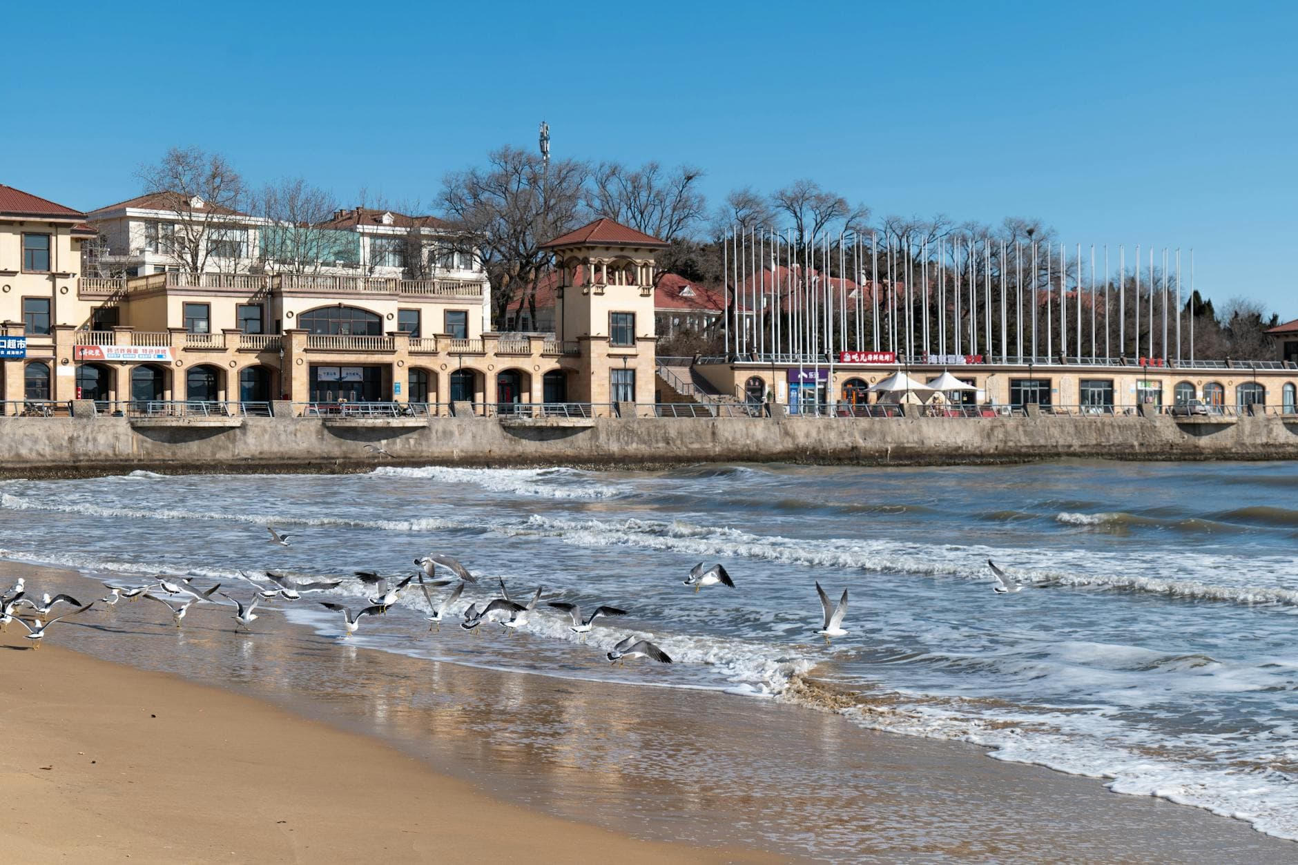 A flock of birds flies over the beach with a historical building in the background on a clear day.