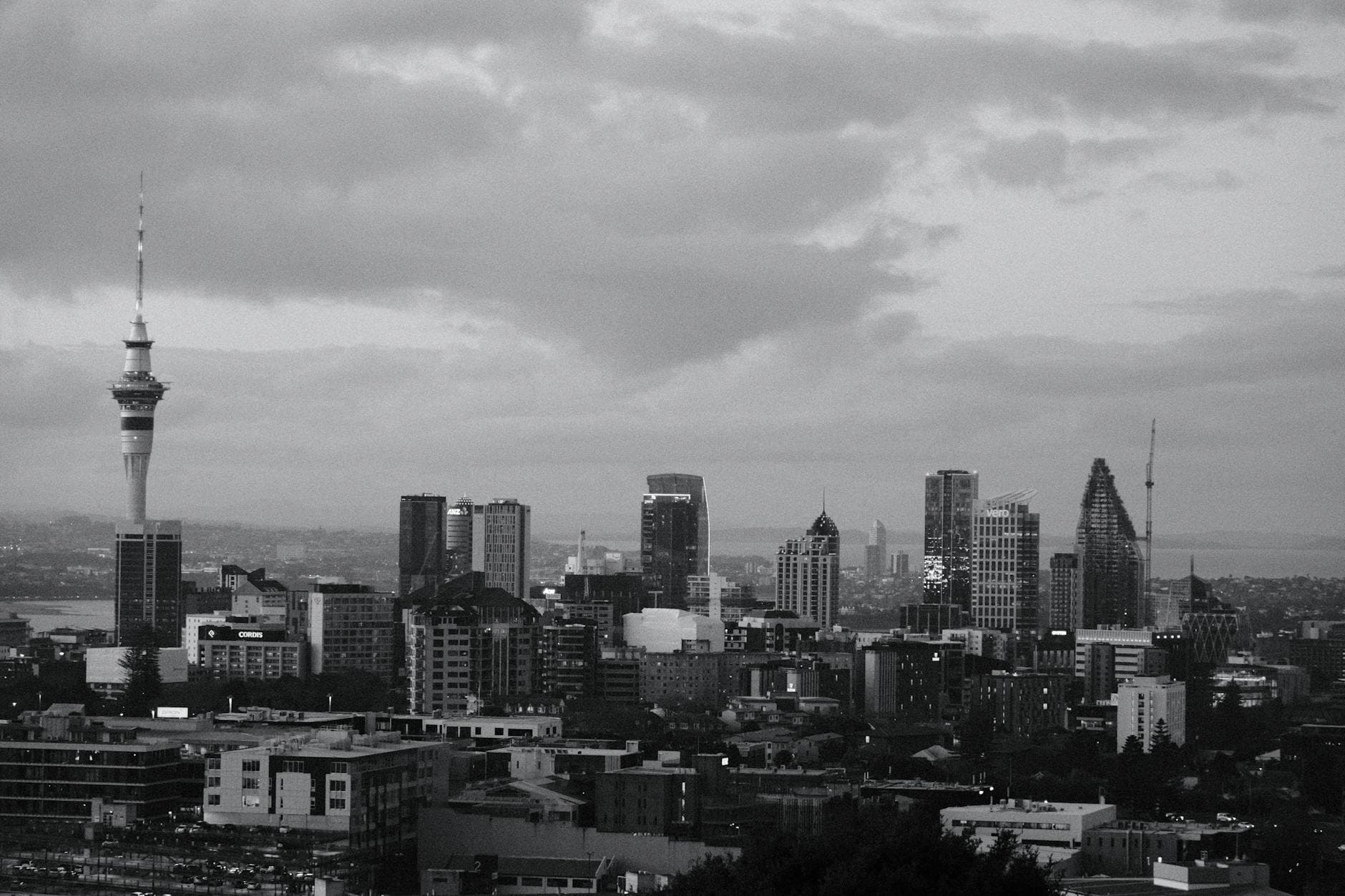 Black and white panorama of Auckland's skyline, featuring the Sky Tower.