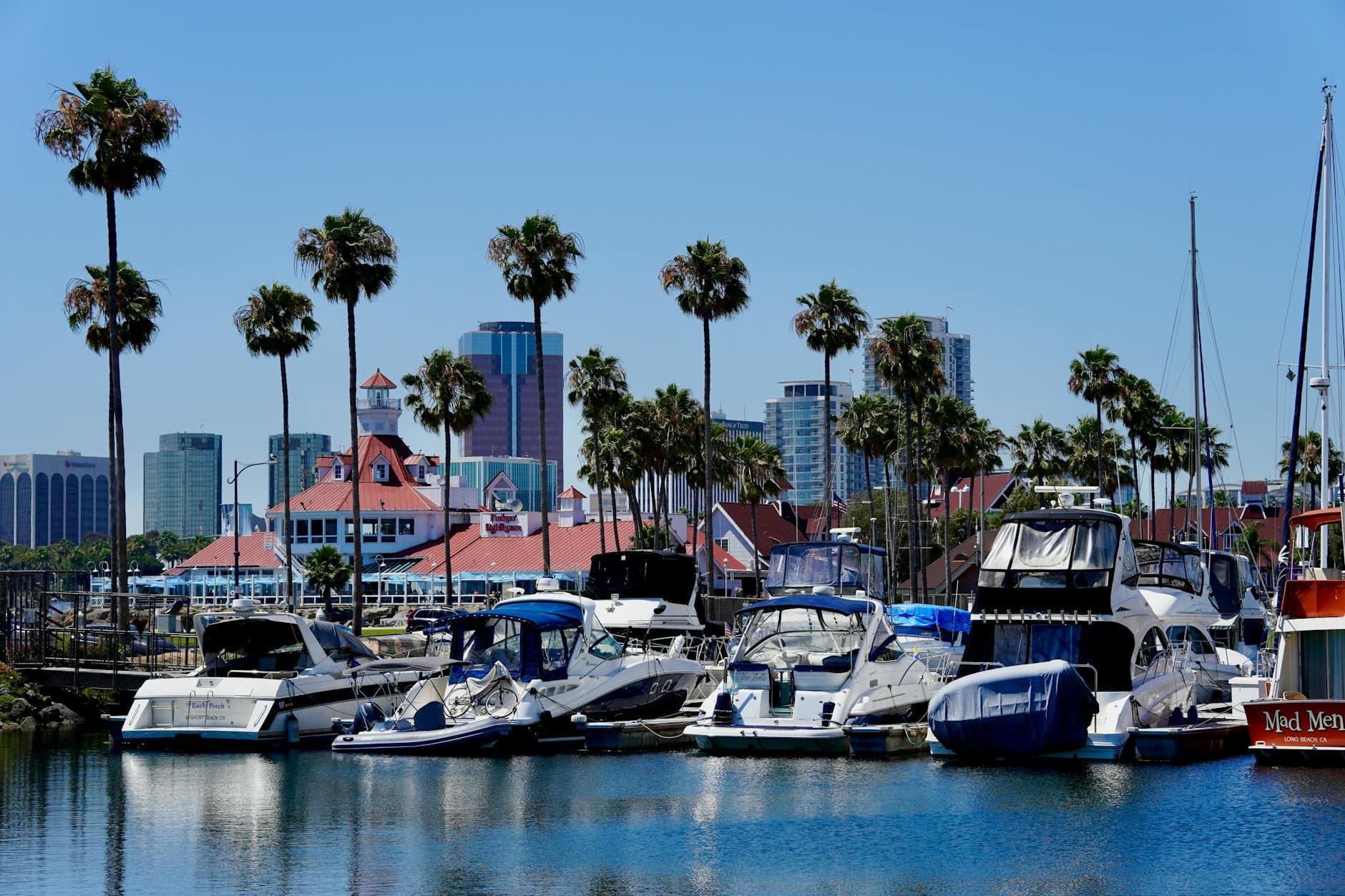Yachts moored at Long Beach Harbor under a clear blue sky with palm trees.