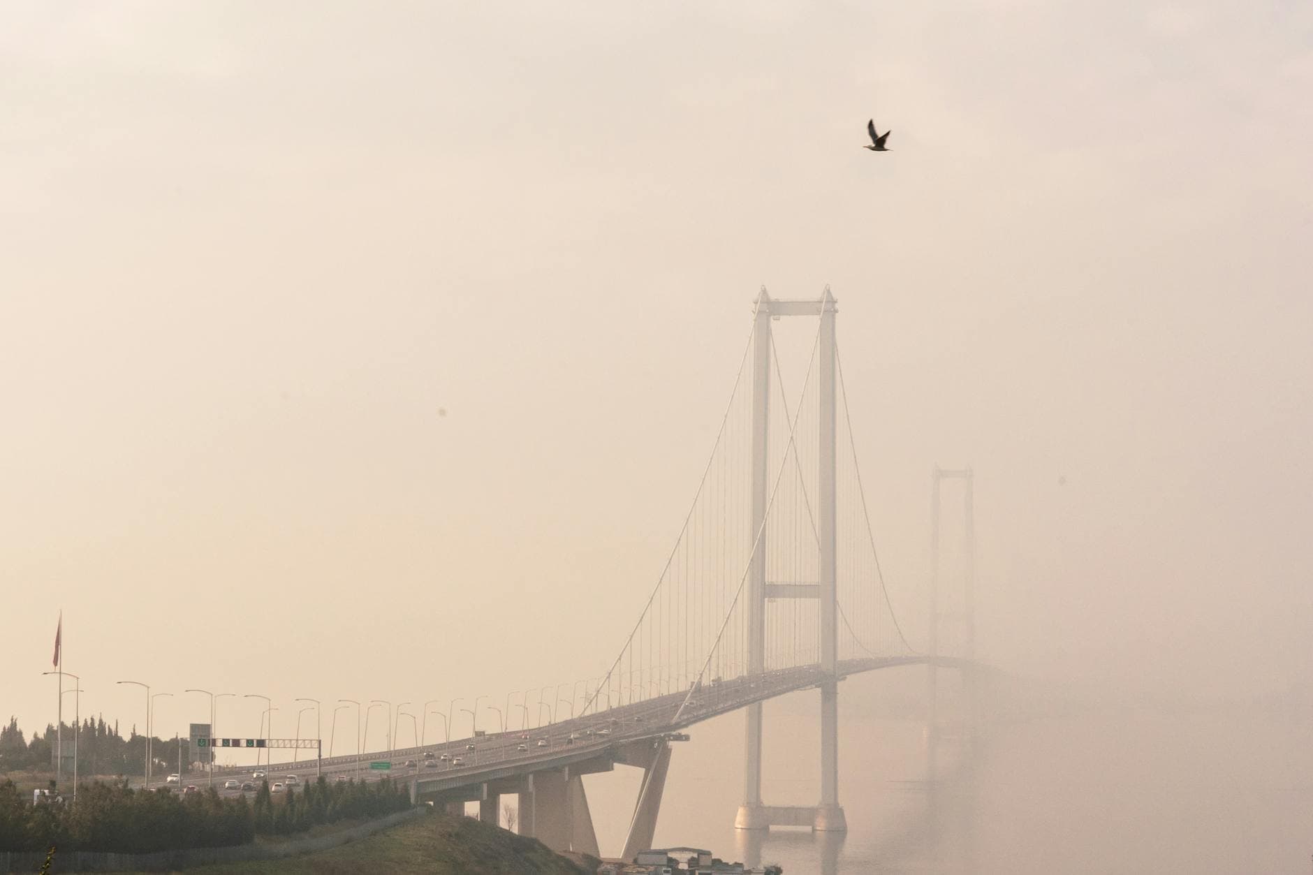A foggy view of the Osmangazi Bridge in Gebze, Kocaeli, Türkiye, with a bird flying overhead.