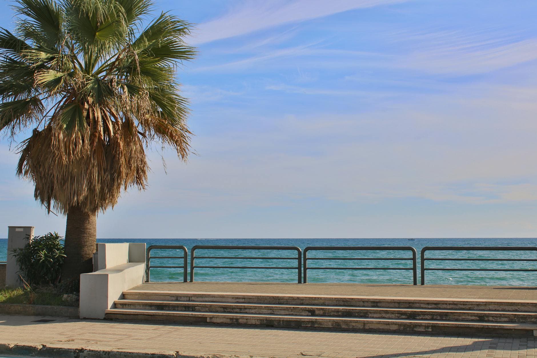 Palm tree by the sea with blue sky in Terracina, Lazio, Italy.