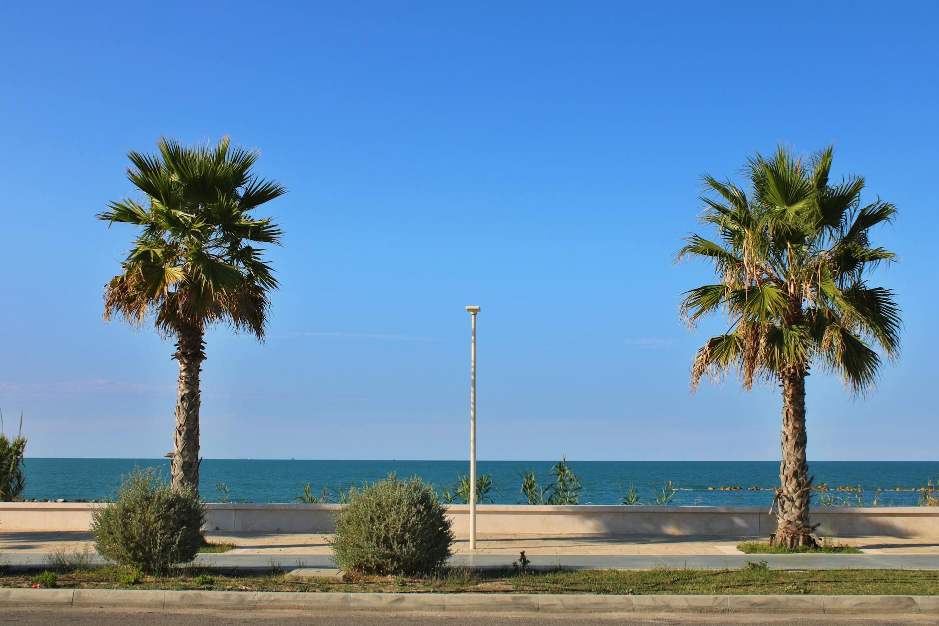 Peaceful seaside view in Termoli, Italy featuring two palm trees and clear blue skies.