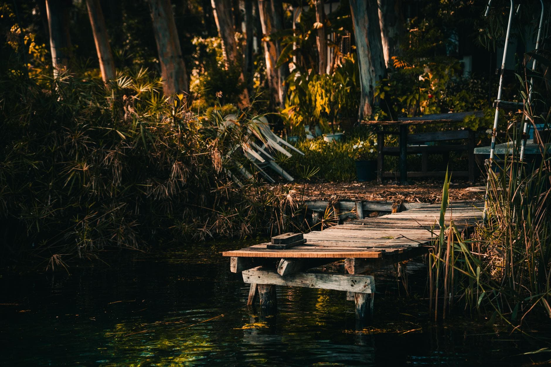 A tranquil view of a wooden boardwalk by a lakeshore in Akyaka, surrounded by dense forest.